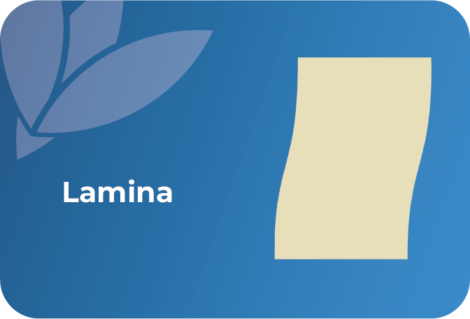 Lámina de material extruido, versátil y durable, ideal para procesos industriales y aplicaciones de empaque.